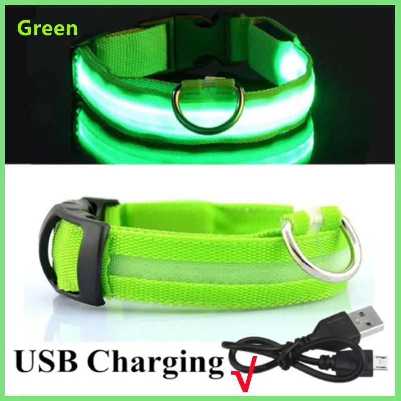 USB Rechargeable Luminous Collar Adjustable Led Glowing Dog Collar