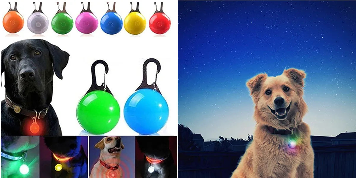 USB Rechargeable Luminous Collar Adjustable Led Glowing Dog Collar
