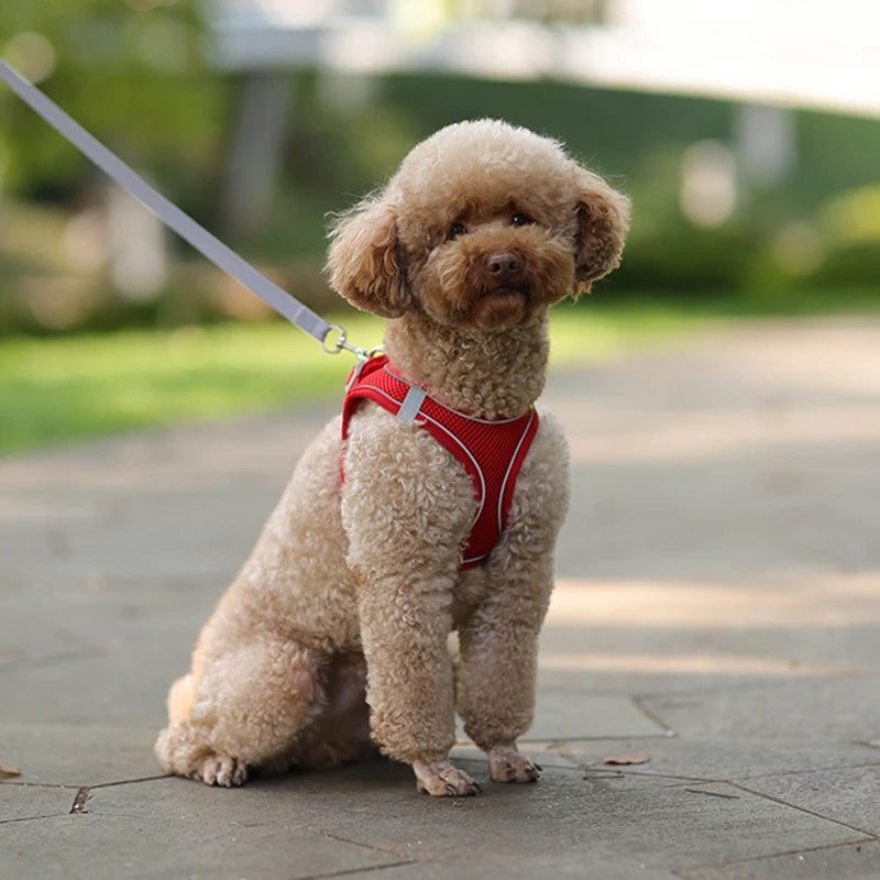 Dog Harness Leash Set for Small Dogs Adjustable Puppy Cat Harness Vest