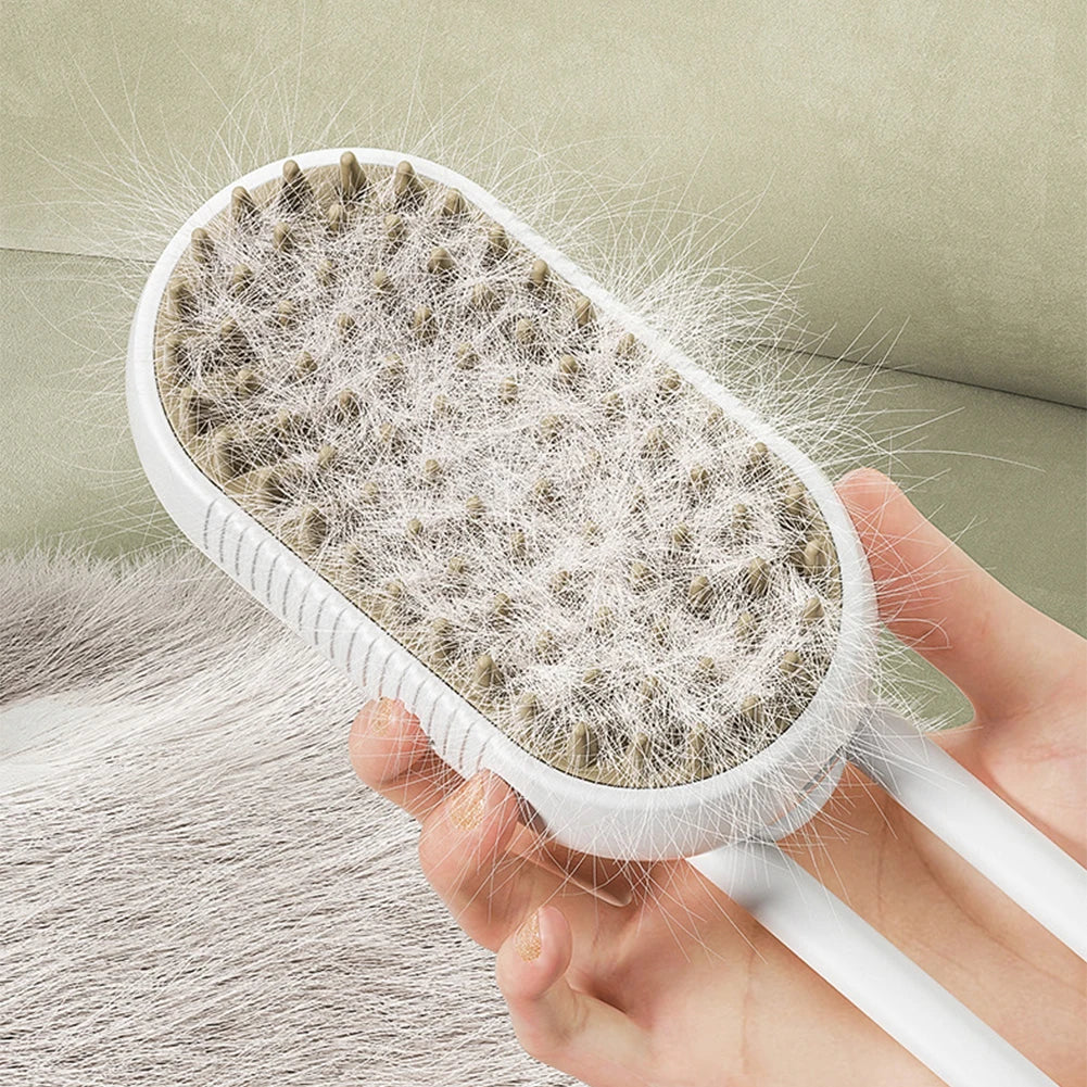Cat & Dog Steamy Brush 3 in 1 Electric Spray Rechargeable Massage Comb