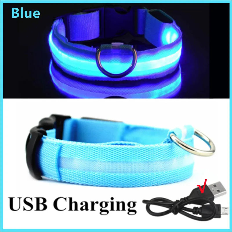 USB Rechargeable Luminous Collar Adjustable Led Glowing Dog Collar