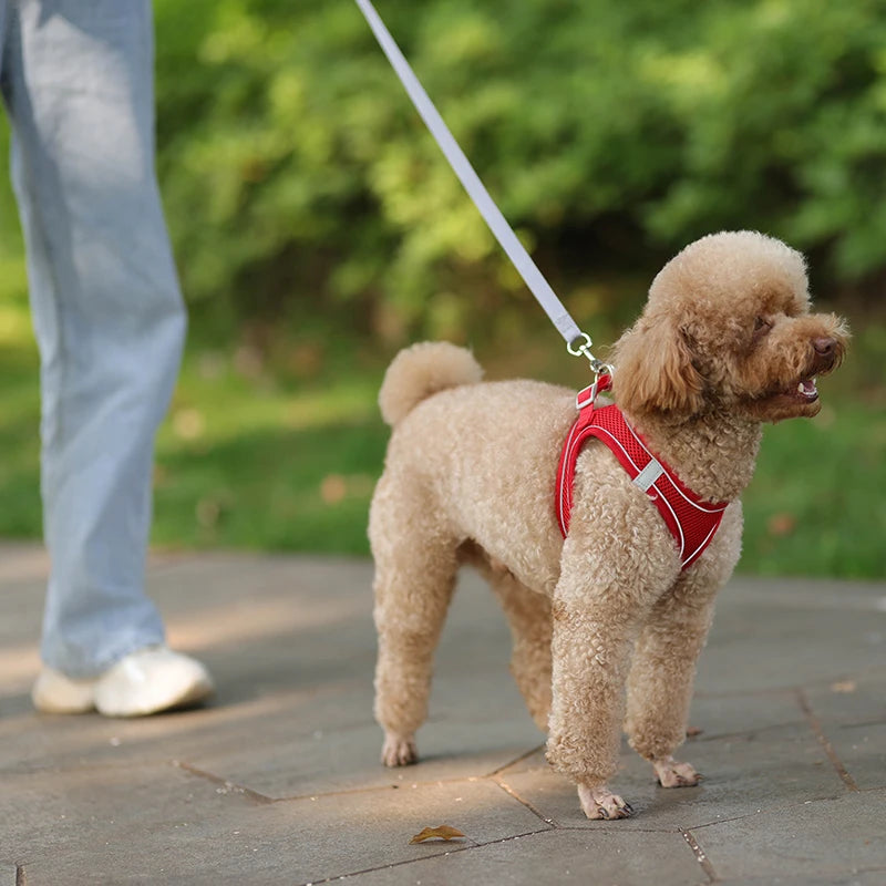 Dog Harness Leash Set for Small Dogs Adjustable Puppy Cat Harness Vest