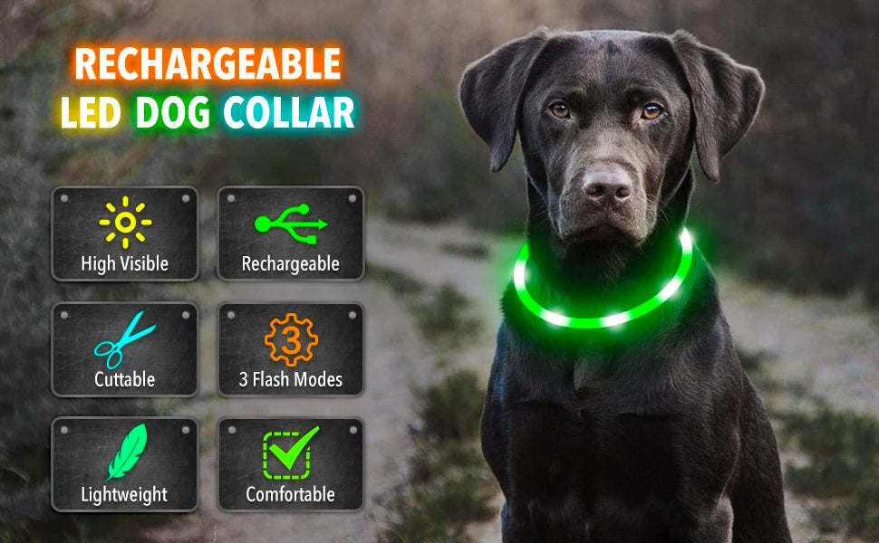 USB Rechargeable Luminous Collar Adjustable Led Glowing Dog Collar