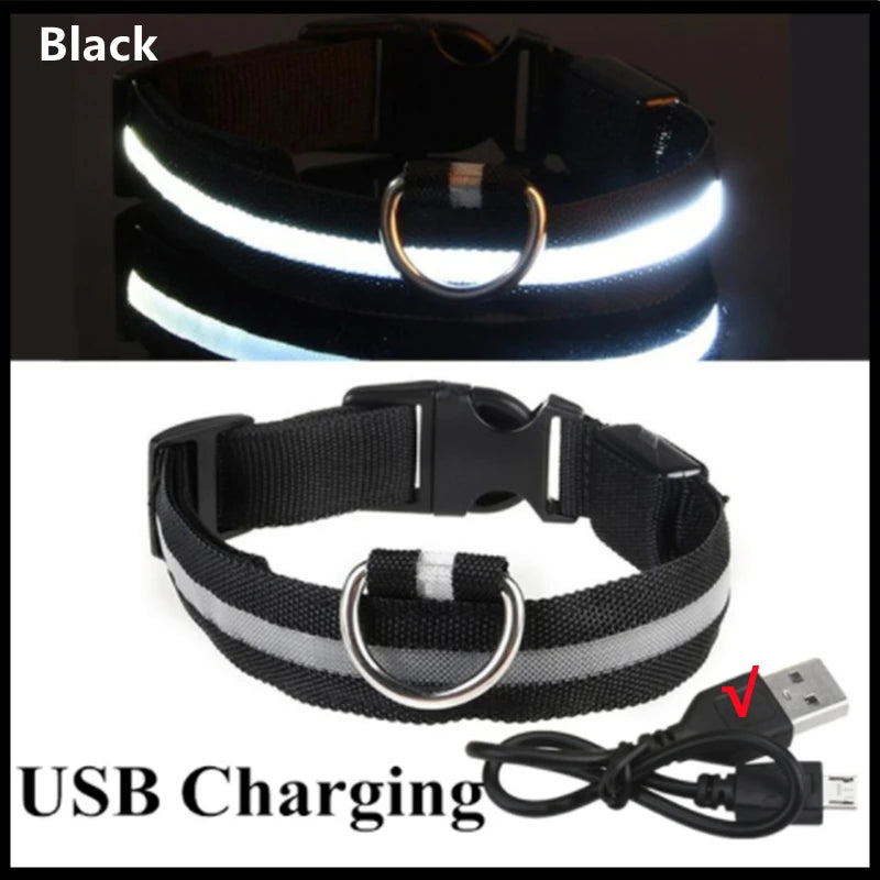 USB Rechargeable Luminous Collar Adjustable Led Glowing Dog Collar