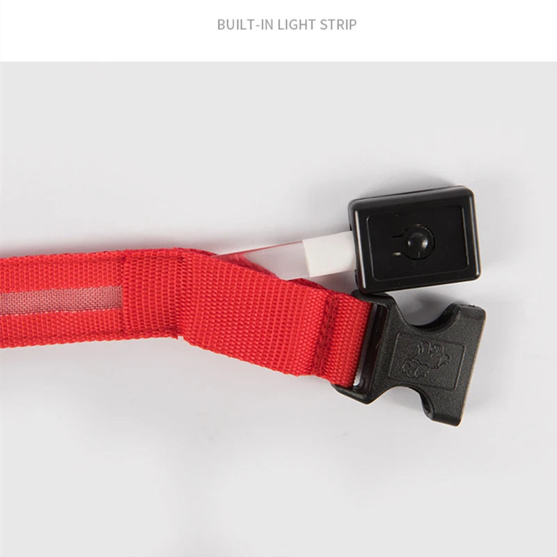 USB Rechargeable Luminous Collar Adjustable Led Glowing Dog Collar