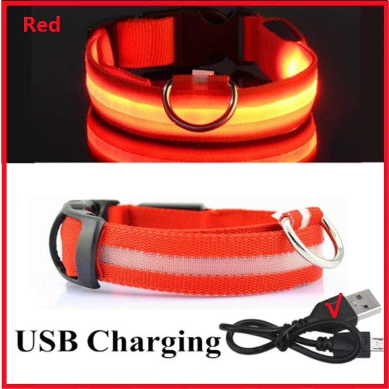 USB Rechargeable Luminous Collar Adjustable Led Glowing Dog Collar