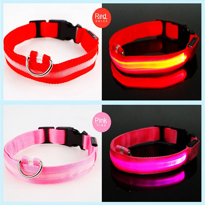 USB Rechargeable Luminous Collar Adjustable Led Glowing Dog Collar