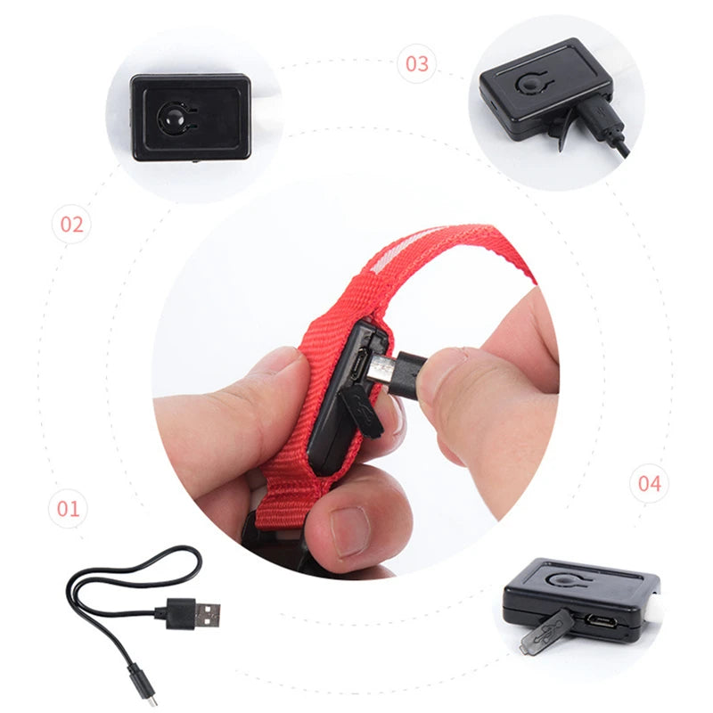 USB Rechargeable Luminous Collar Adjustable Led Glowing Dog Collar