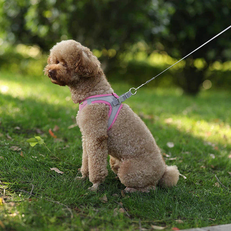 Dog Harness Leash Set for Small Dogs Adjustable Puppy Cat Harness Vest
