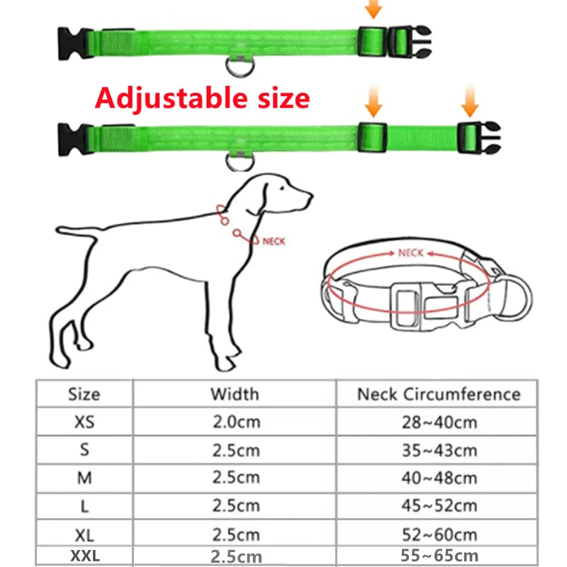 USB Rechargeable Luminous Collar Adjustable Led Glowing Dog Collar