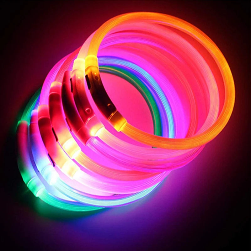 USB Rechargeable Luminous Collar Adjustable Led Glowing Dog Collar