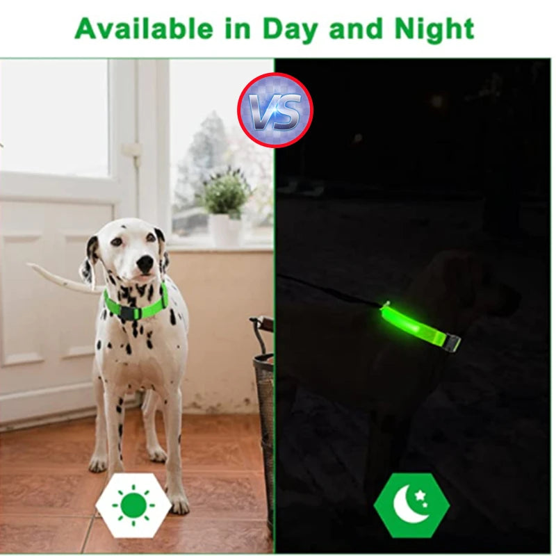USB Rechargeable Luminous Collar Adjustable Led Glowing Dog Collar