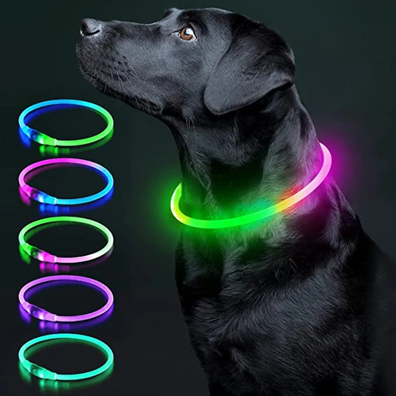 USB Rechargeable Luminous Collar Adjustable Led Glowing Dog Collar