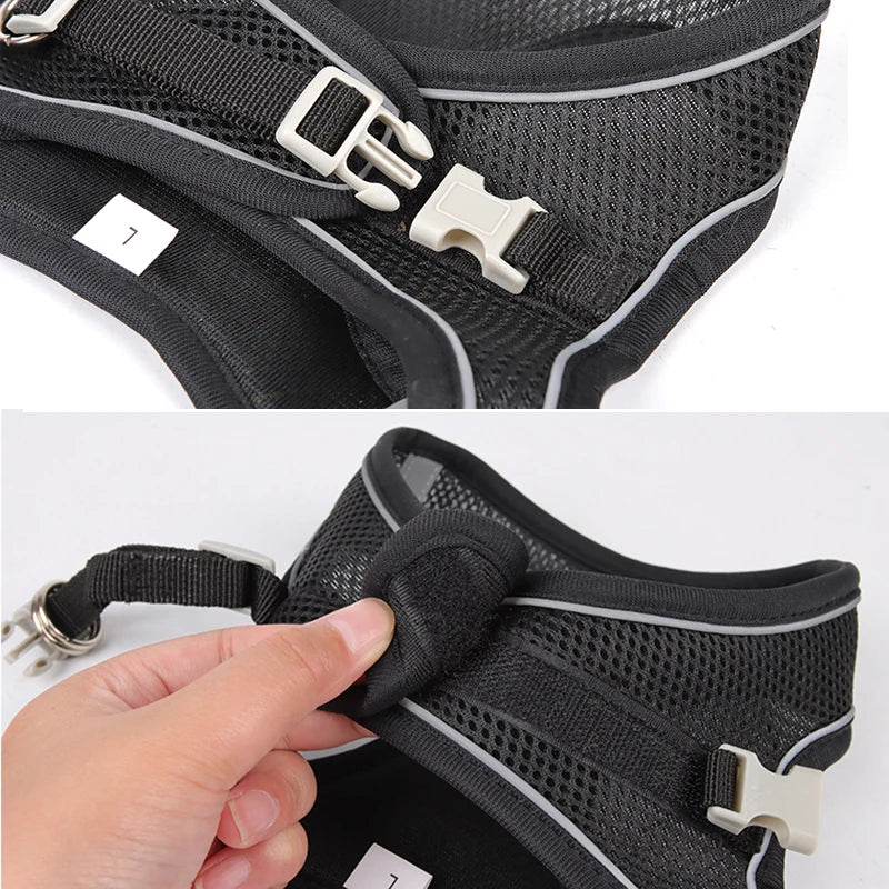 Dog Harness Leash Set for Small Dogs Adjustable Puppy Cat Harness Vest
