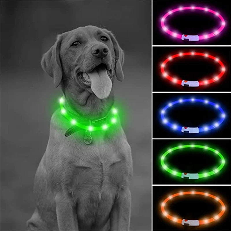 USB Rechargeable Luminous Collar Adjustable Led Glowing Dog Collar