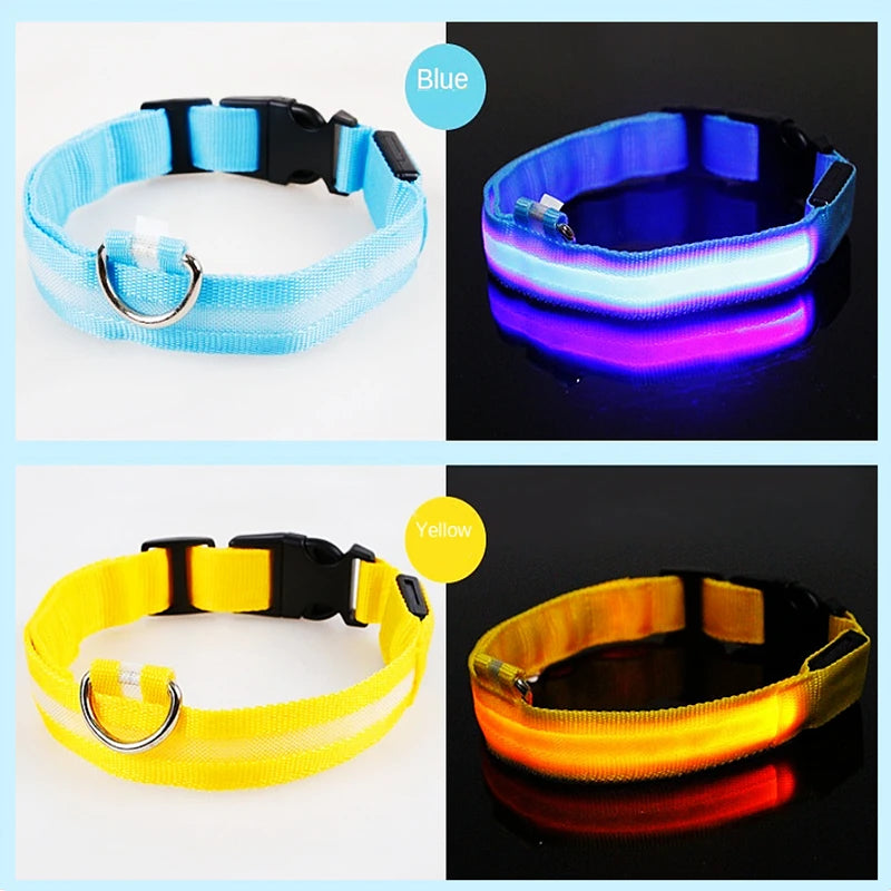 USB Rechargeable Luminous Collar Adjustable Led Glowing Dog Collar