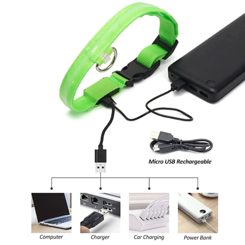 USB Rechargeable Luminous Collar Adjustable Led Glowing Dog Collar
