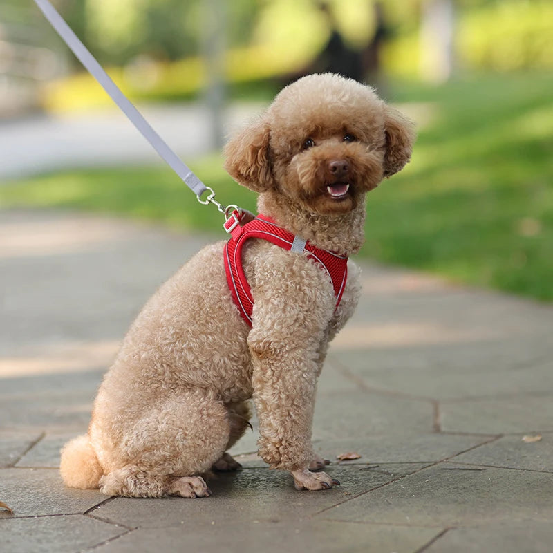 Dog Harness Leash Set for Small Dogs Adjustable Puppy Cat Harness Vest