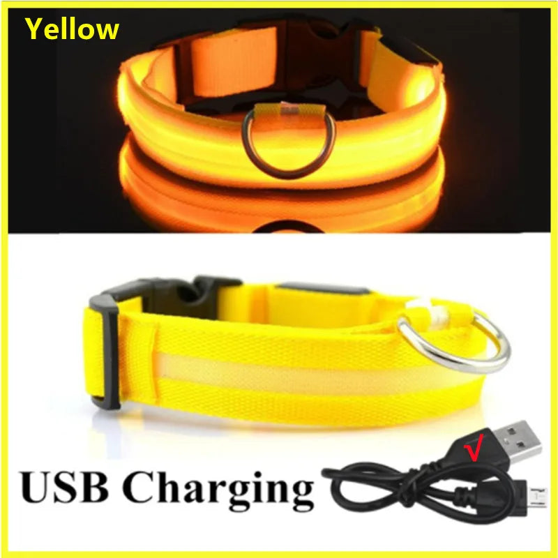 USB Rechargeable Luminous Collar Adjustable Led Glowing Dog Collar