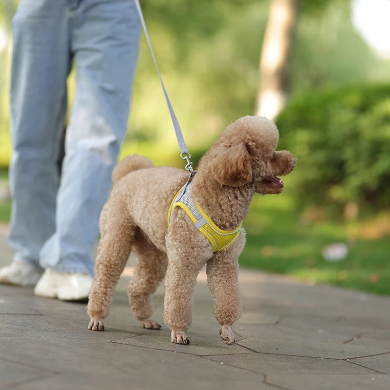 Dog Harness Leash Set for Small Dogs Adjustable Puppy Cat Harness Vest