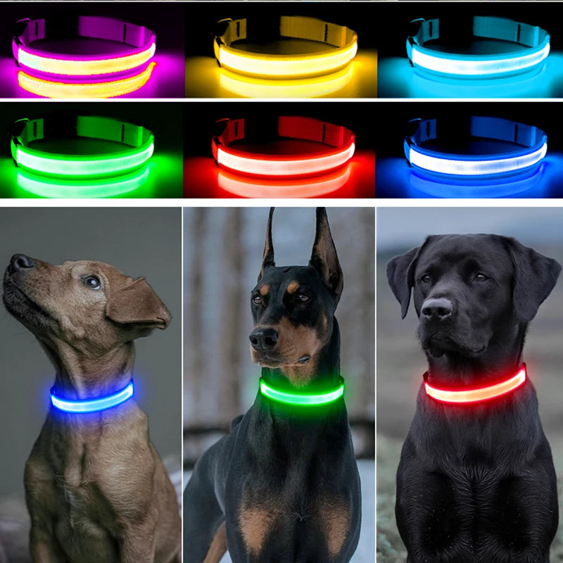 USB Rechargeable Luminous Collar Adjustable Led Glowing Dog Collar