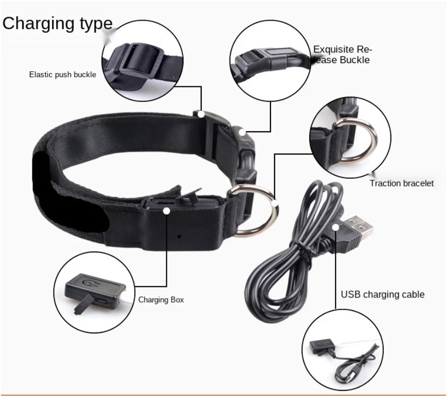 USB Rechargeable Luminous Collar Adjustable Led Glowing Dog Collar