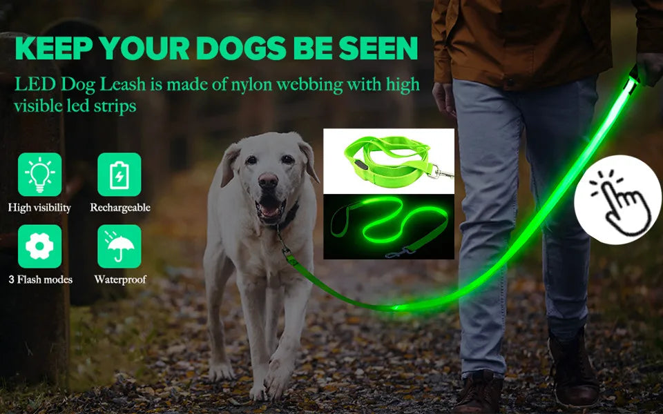 USB Rechargeable Luminous Collar Adjustable Led Glowing Dog Collar