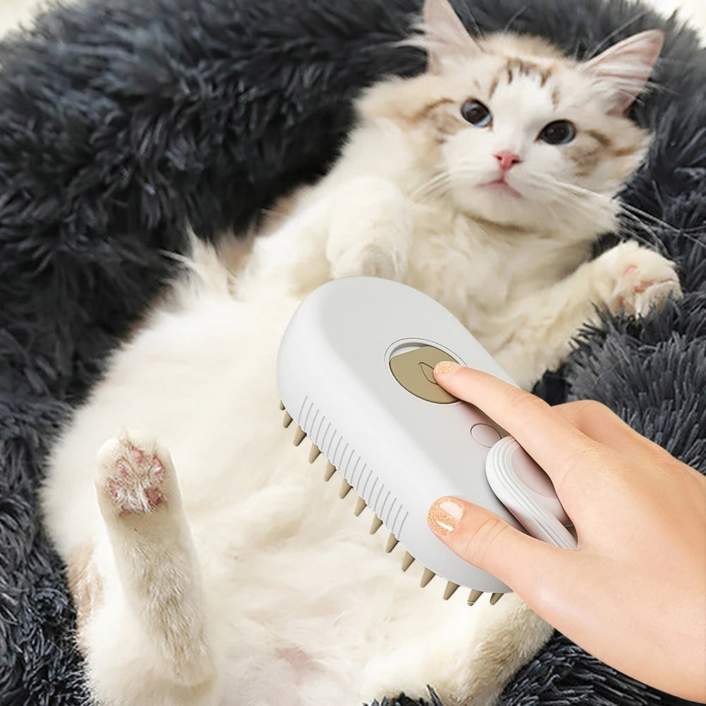 Cat & Dog Steamy Brush 3 in 1 Electric Spray Rechargeable Massage Comb