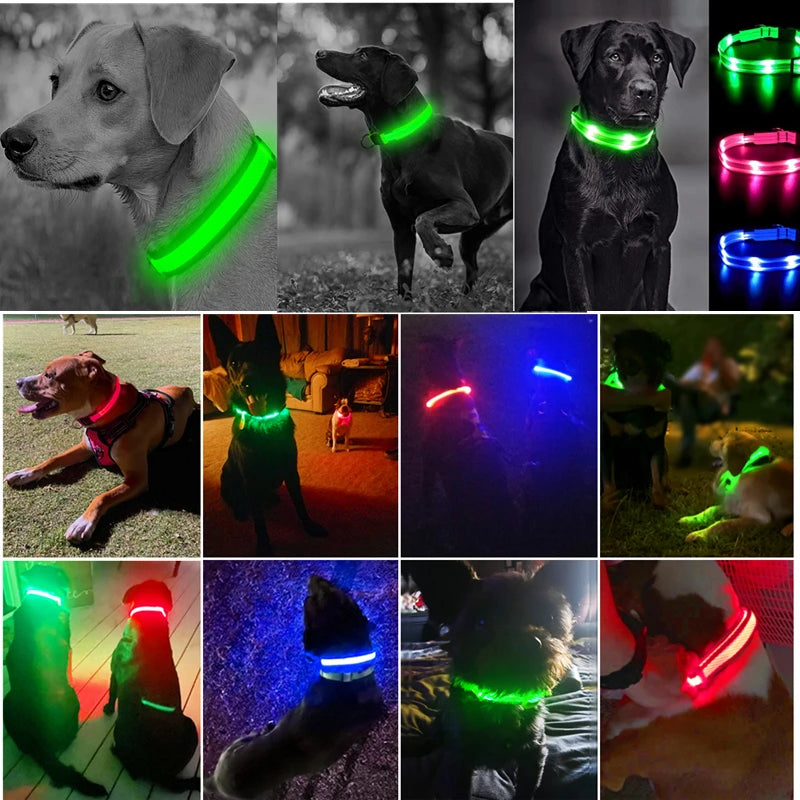 USB Rechargeable Luminous Collar Adjustable Led Glowing Dog Collar