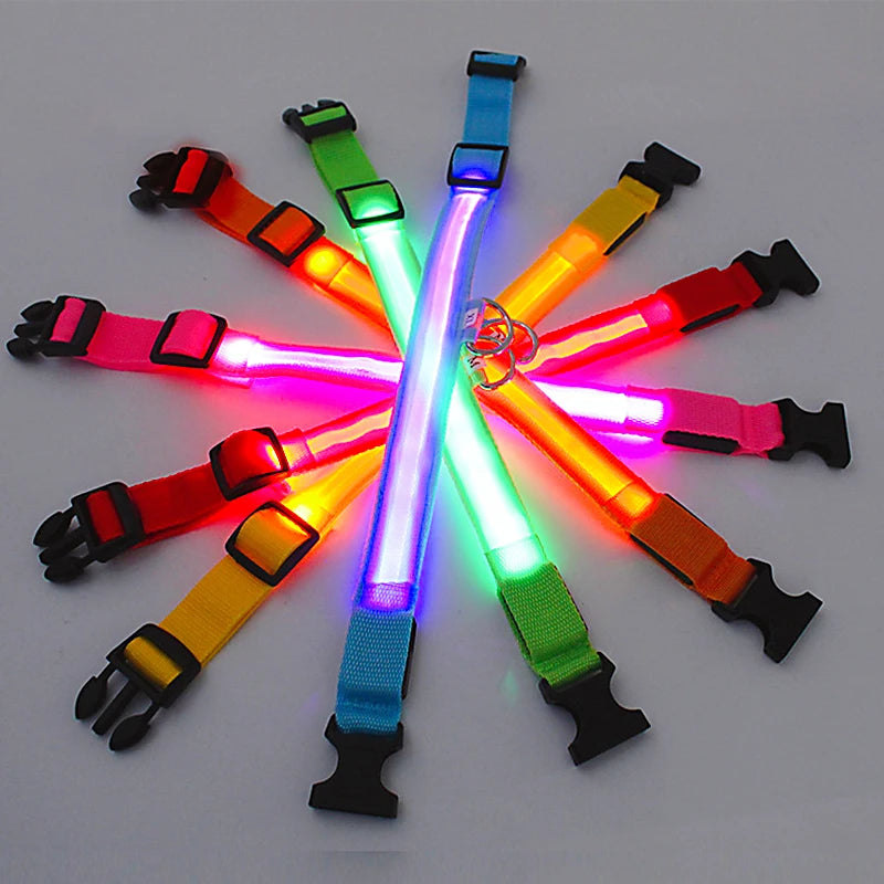 USB Rechargeable Luminous Collar Adjustable Led Glowing Dog Collar