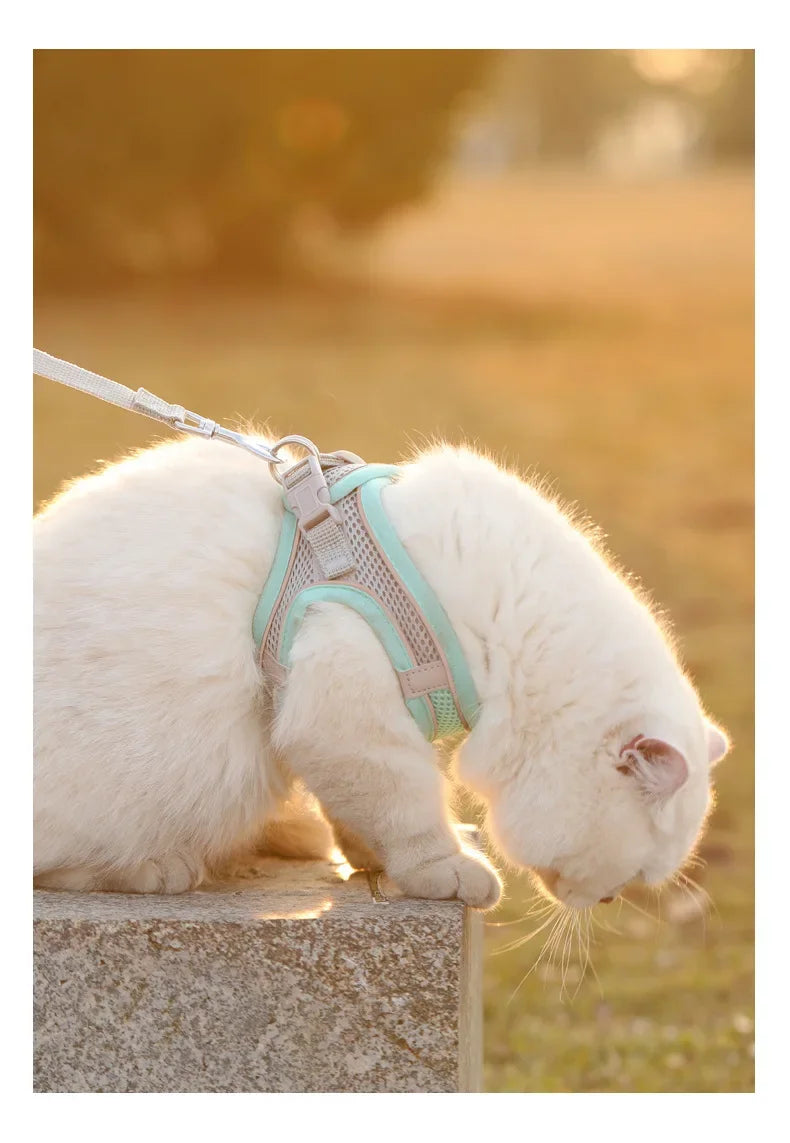 Cats Dog Accessories Small Dog Collar Safety Vest