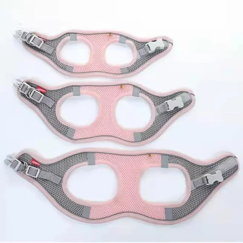Cats Dog Accessories Small Dog Collar Safety Vest