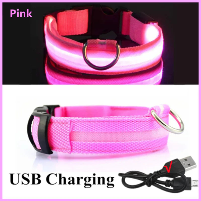 USB Rechargeable Luminous Collar Adjustable Led Glowing Dog Collar