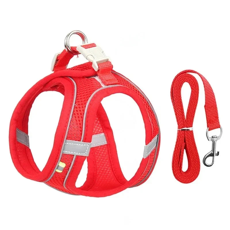 Cats Dog Accessories Small Dog Collar Safety Vest