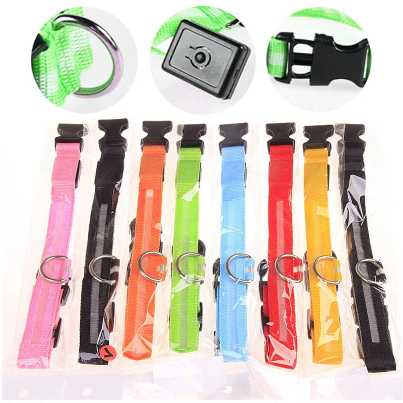 USB Rechargeable Luminous Collar Adjustable Led Glowing Dog Collar