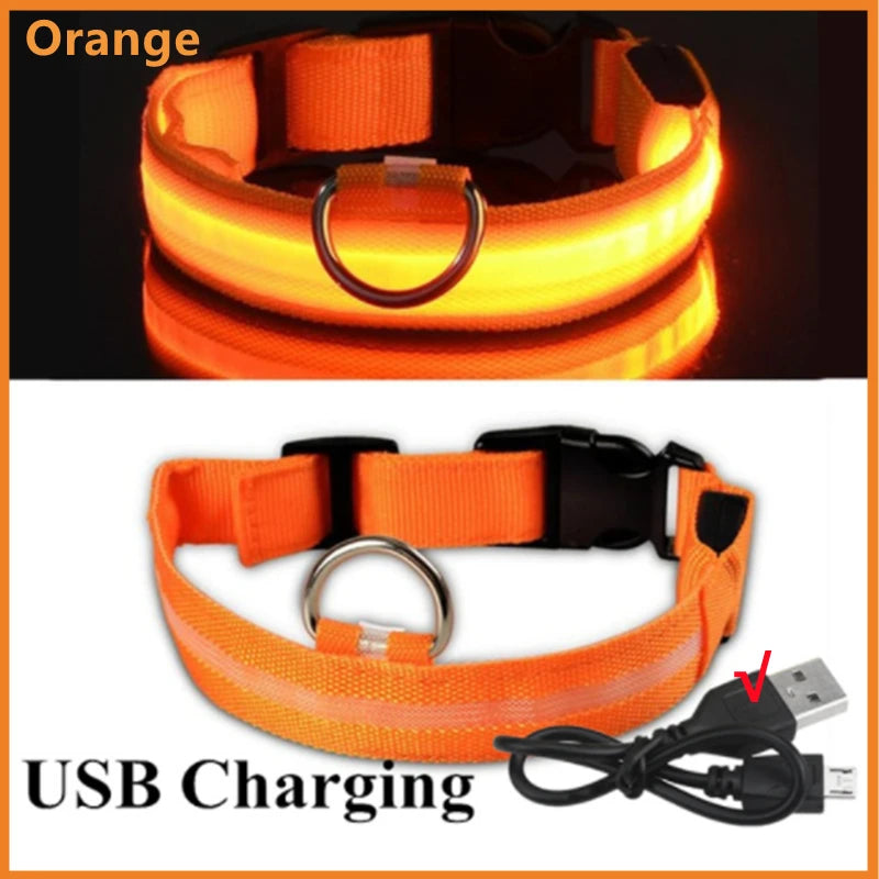 USB Rechargeable Luminous Collar Adjustable Led Glowing Dog Collar