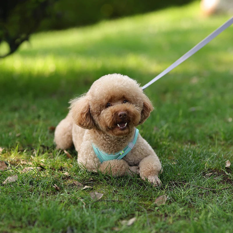 Dog Harness Leash Set for Small Dogs Adjustable Puppy Cat Harness Vest