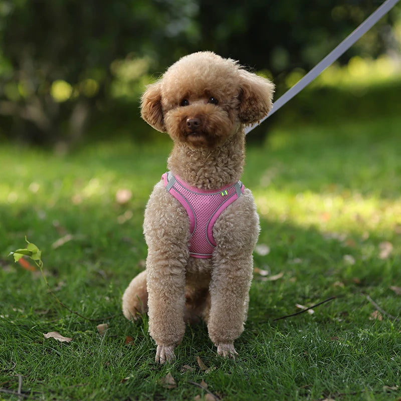 Dog Harness Leash Set for Small Dogs Adjustable Puppy Cat Harness Vest
