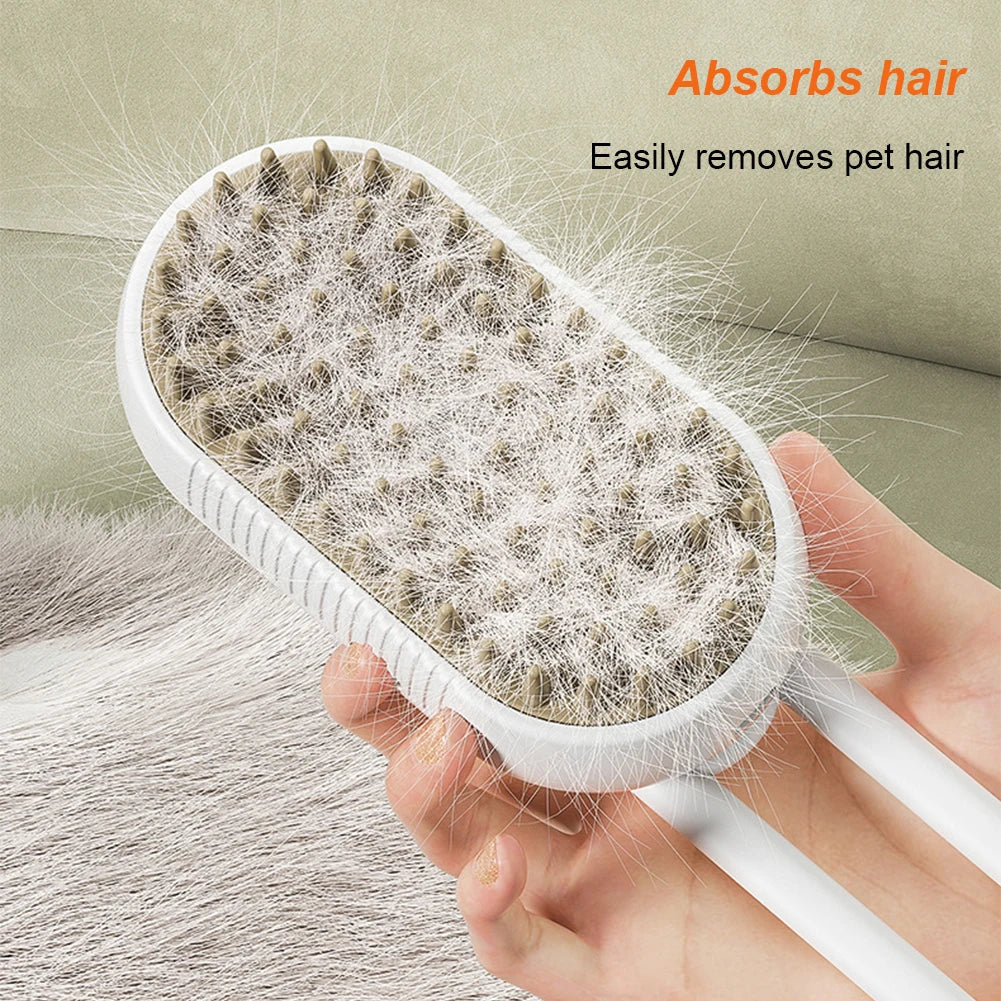 Cat & Dog Steamy Brush 3 in 1 Electric Spray Rechargeable Massage Comb
