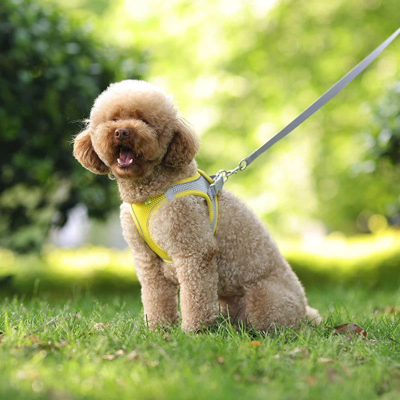 Dog Harness Leash Set for Small Dogs Adjustable Puppy Cat Harness Vest
