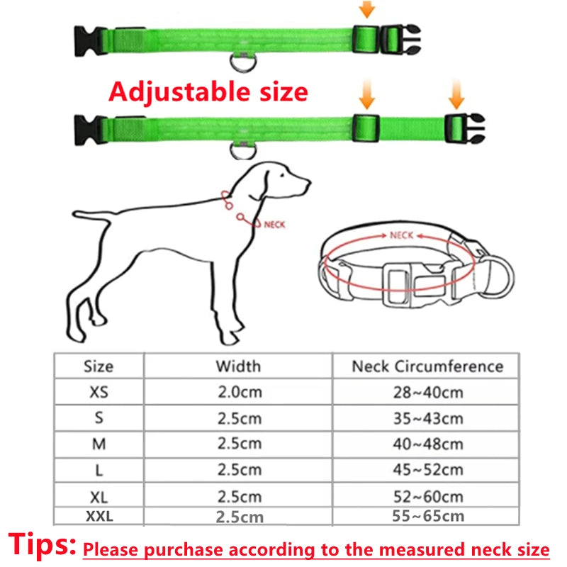 USB Rechargeable Luminous Collar Adjustable Led Glowing Dog Collar
