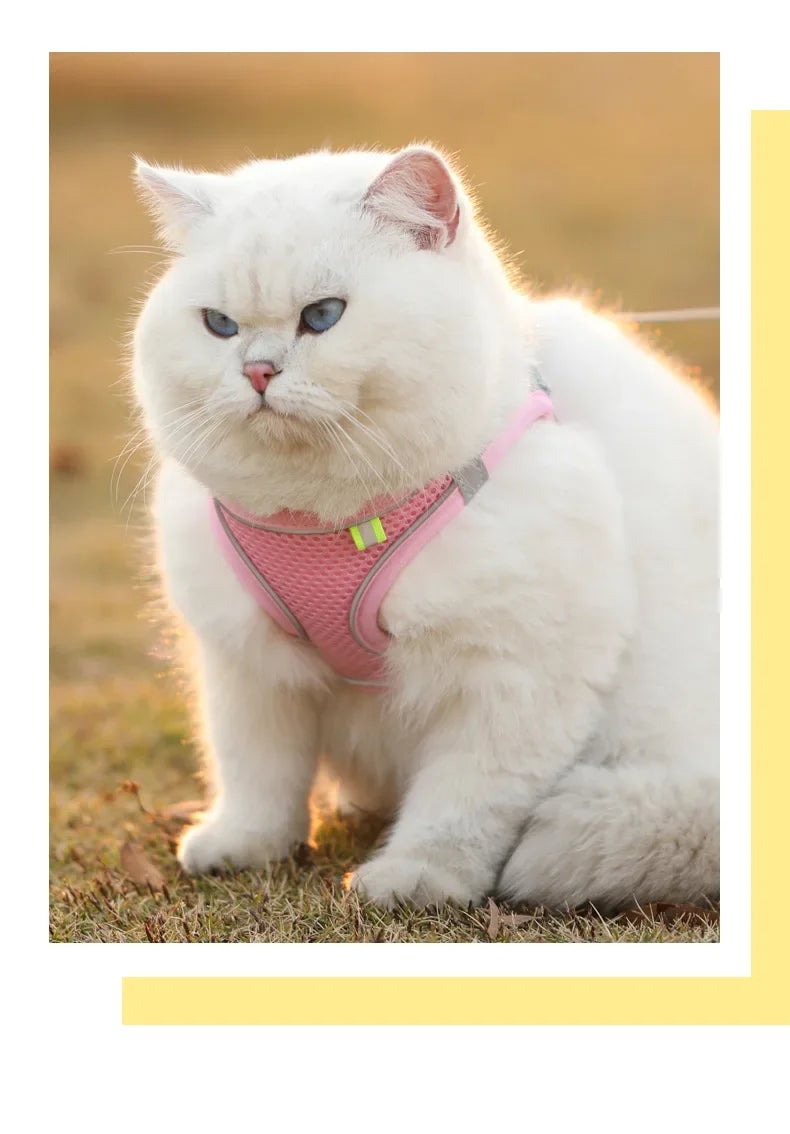Cats Dog Accessories Small Dog Collar Safety Vest