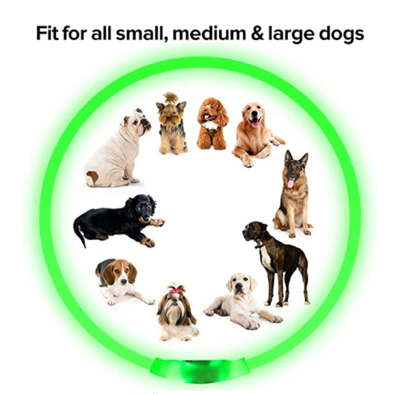 USB Rechargeable Luminous Collar Adjustable Led Glowing Dog Collar
