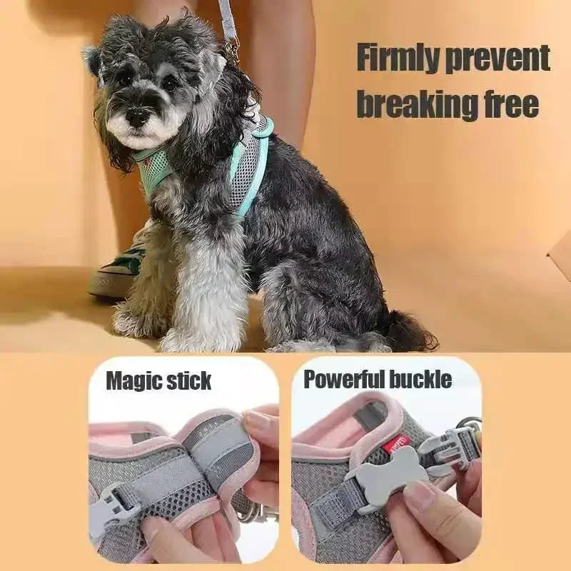 Cats Dog Accessories Small Dog Collar Safety Vest
