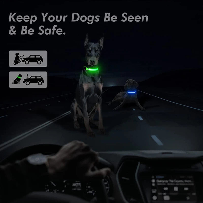 USB Rechargeable Luminous Collar Adjustable Led Glowing Dog Collar