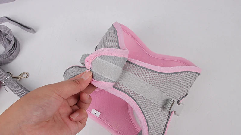 Dog Harness Leash Set for Small Dogs Adjustable Puppy Cat Harness Vest