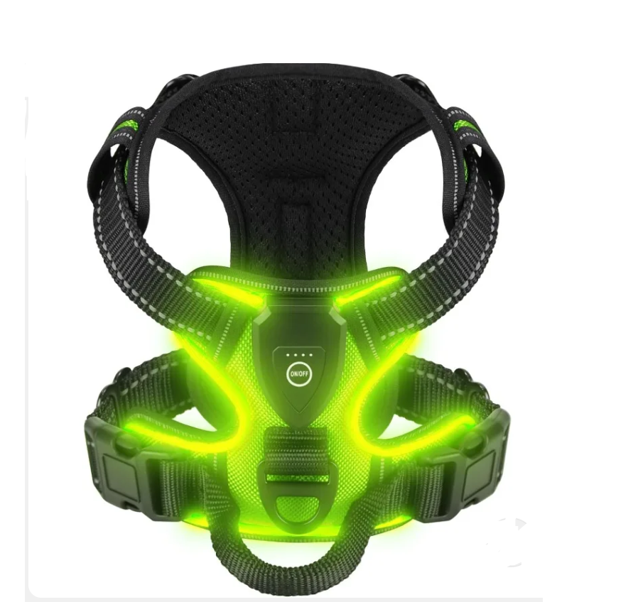 Dog Harnesses & Collars – Bestsellers