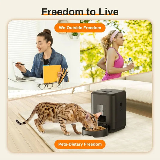 Smart Pet Feeder Automatic 2L Cat Feeder Machine with Time Quantitative