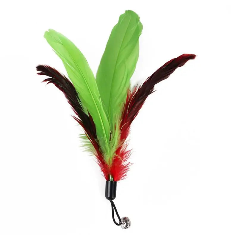11pcs Replacement Cat Feather Toy Set Feather Replacement Head Retractable Cat Stick