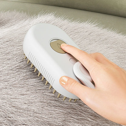 Cat & Dog Steamy Brush 3 in 1 Electric Spray Rechargeable Massage Comb